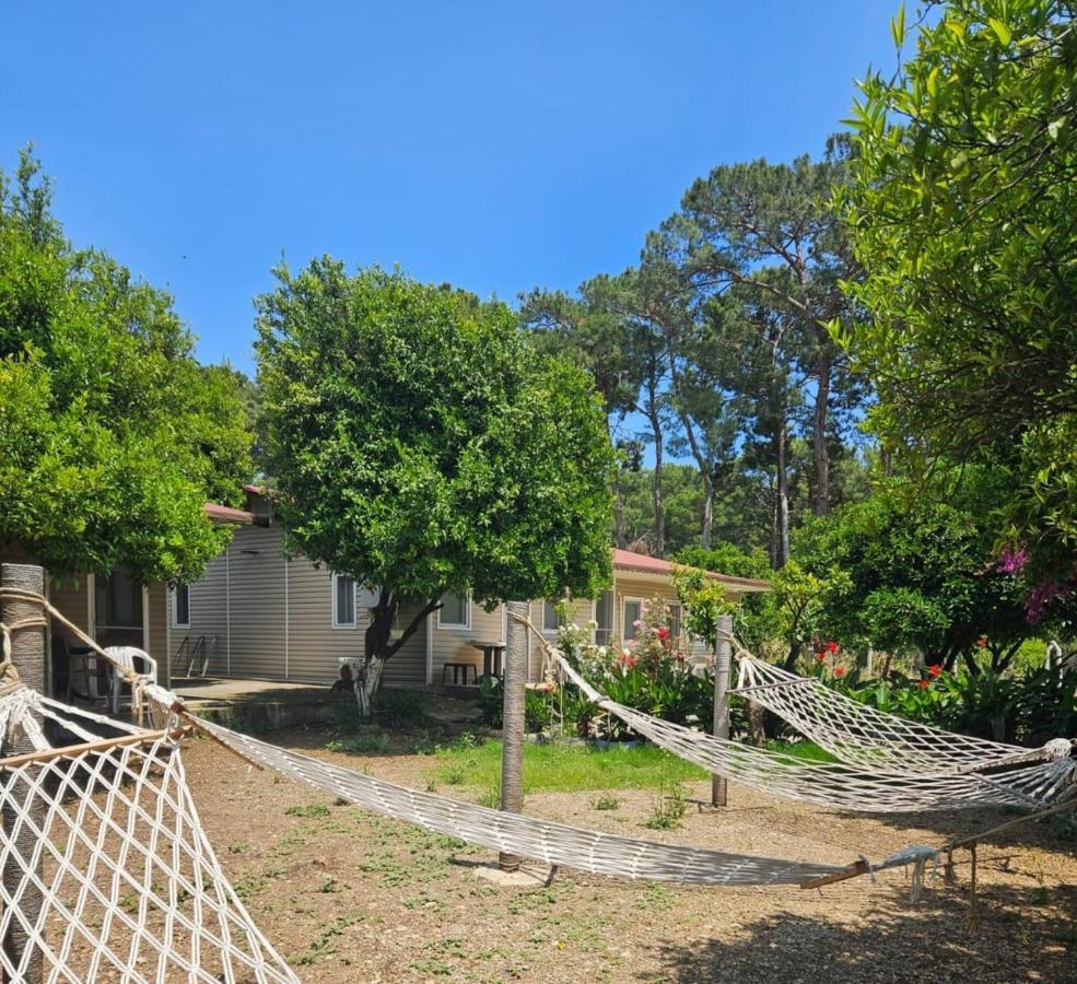 Orange Beach Camp Beldibi  Extérieur photo
